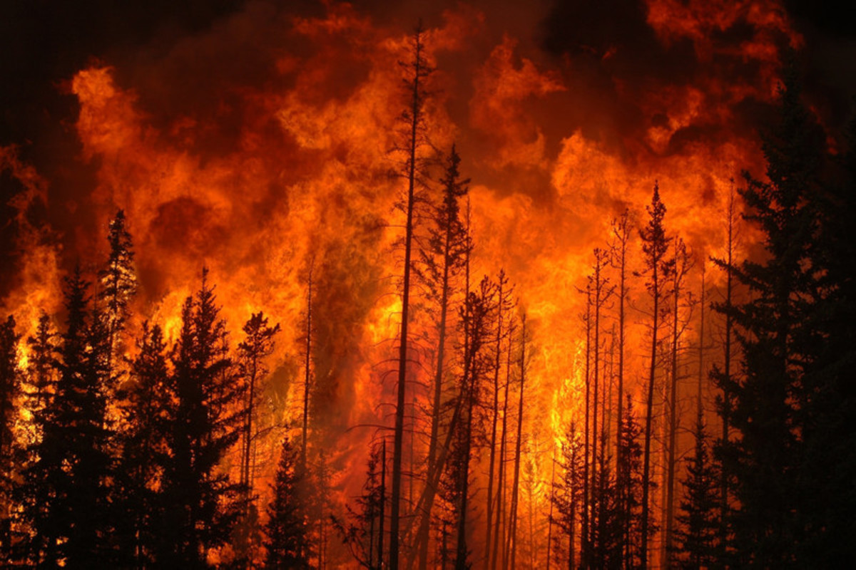 APPLICAZIONE DELLE MISURE DI PREVENZIONE RISCHIO INCENDI BOSCHIVI IN VISTA DEL PERIODO DI MASSIMA PERICOLOSITA' PER GLI INCENDI BOSCHIVI - PERIODO 15/06/2022 - 30/09/2022